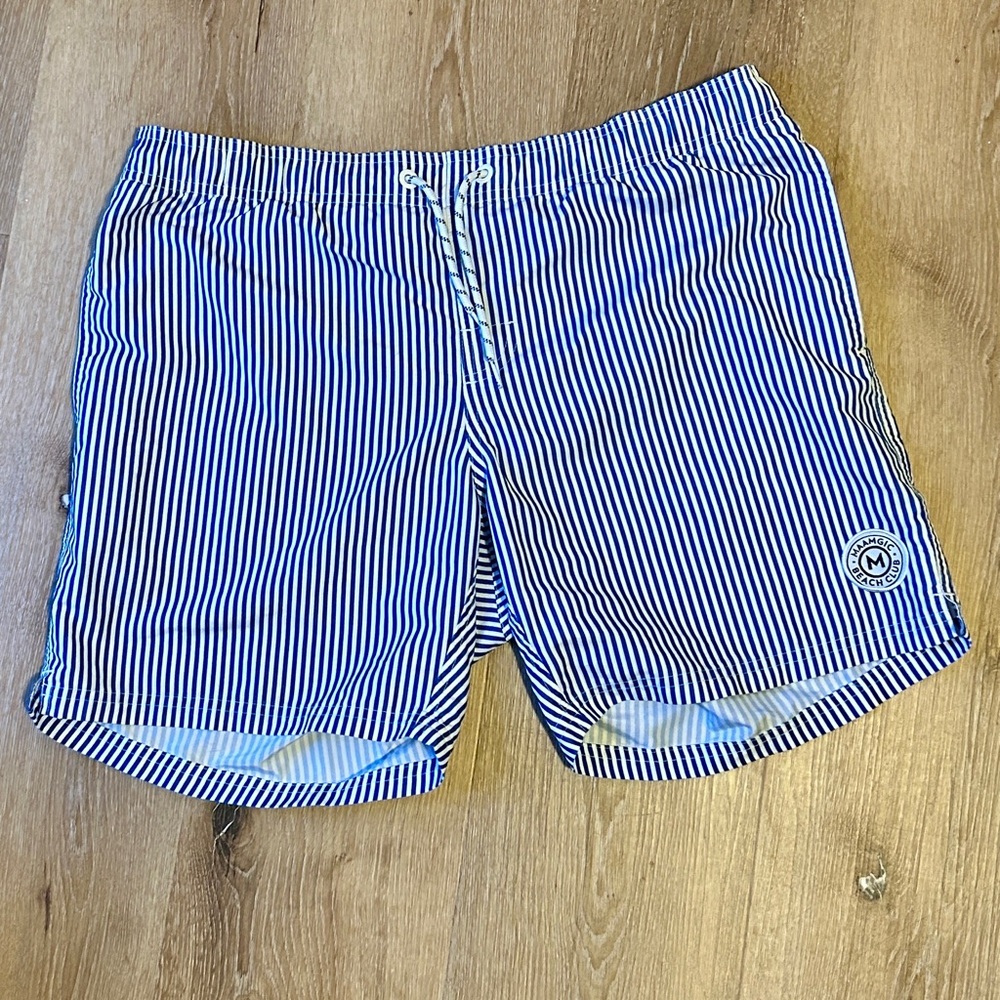 Blue and White Striped Swim Shorts w/ Liner